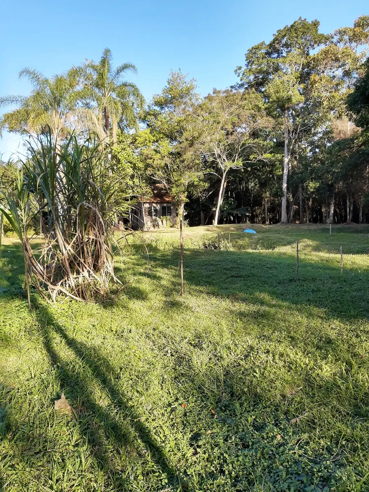 Terreno, 1000 m² - Foto 6
