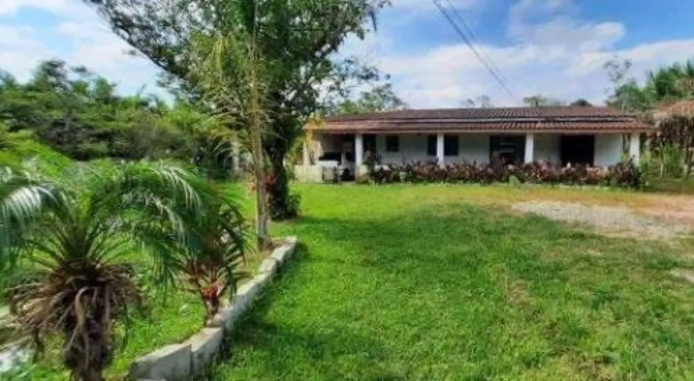 Chácara, 3 quartos, 3000 m² - Foto 5
