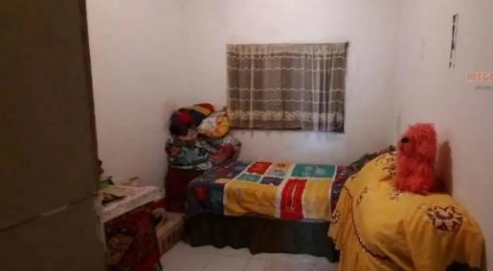 Chácara, 3 quartos, 3000 m² - Foto 6