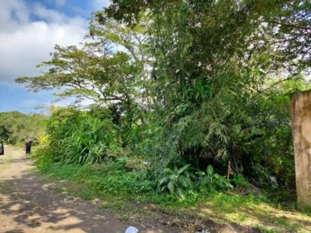 Terreno, 1000 m² - Foto 1