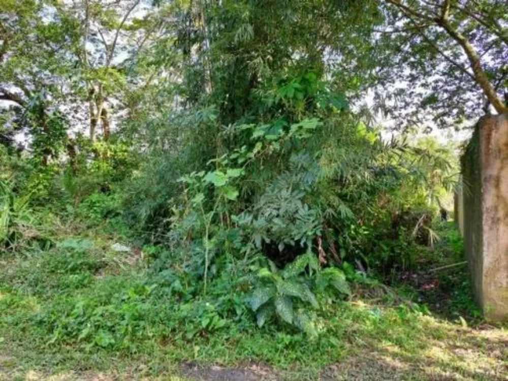 Terreno, 1000 m² - Foto 2
