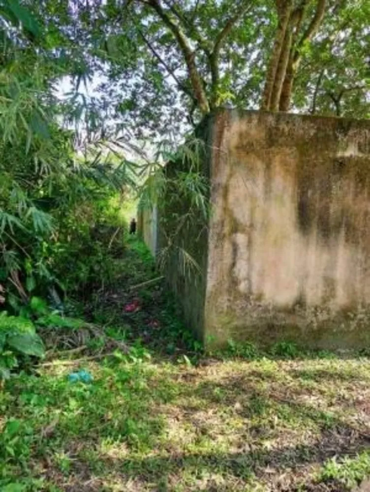 Terreno, 1000 m² - Foto 3