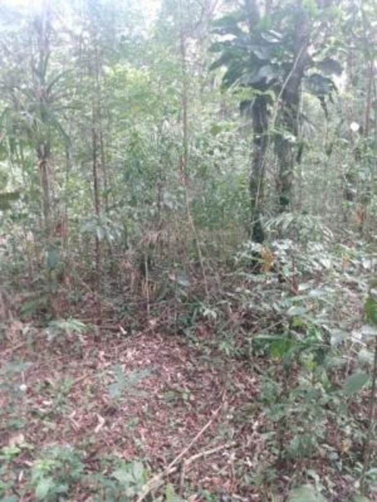 Terreno - Foto 4