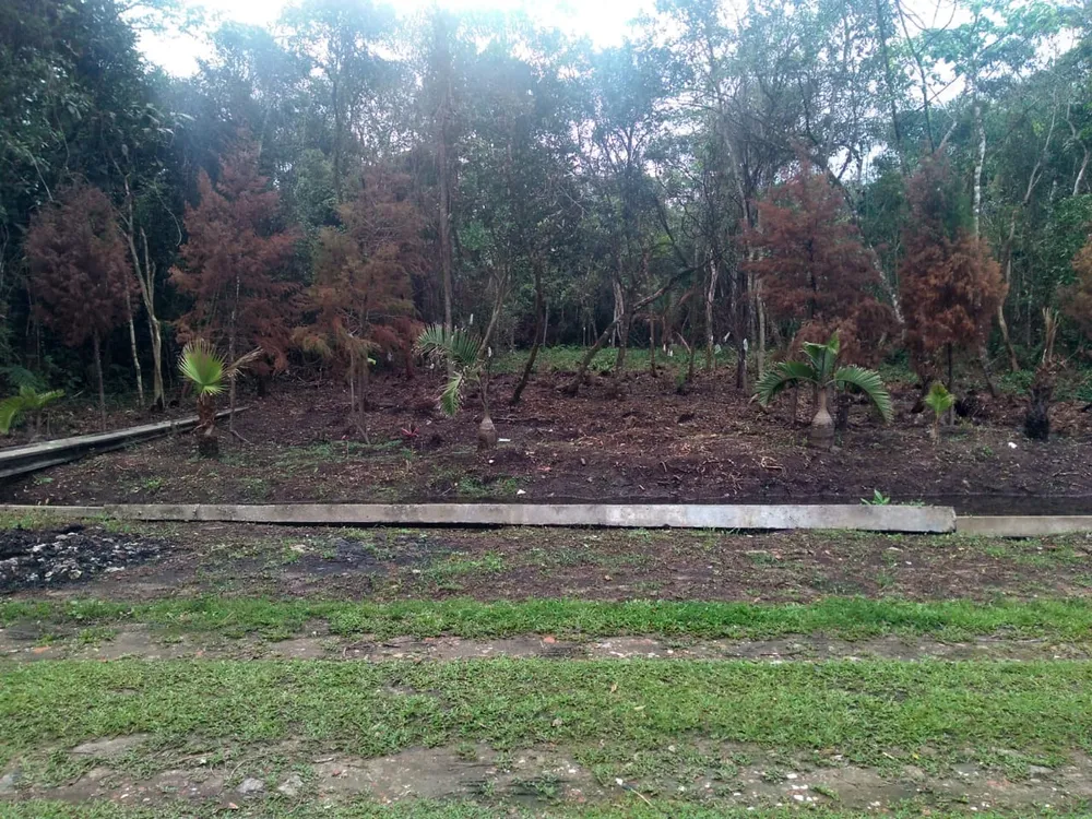 Terreno, 1000 m² - Foto 5