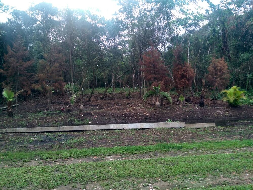 Terreno, 1000 m² - Foto 2