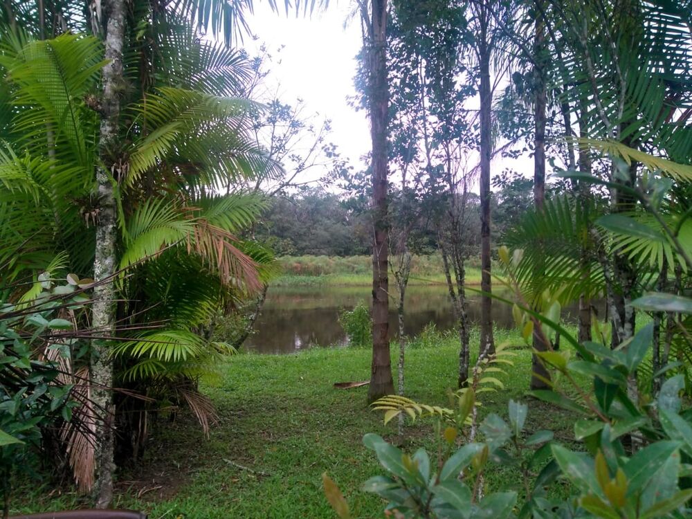 Terreno, 1000 m² - Foto 4