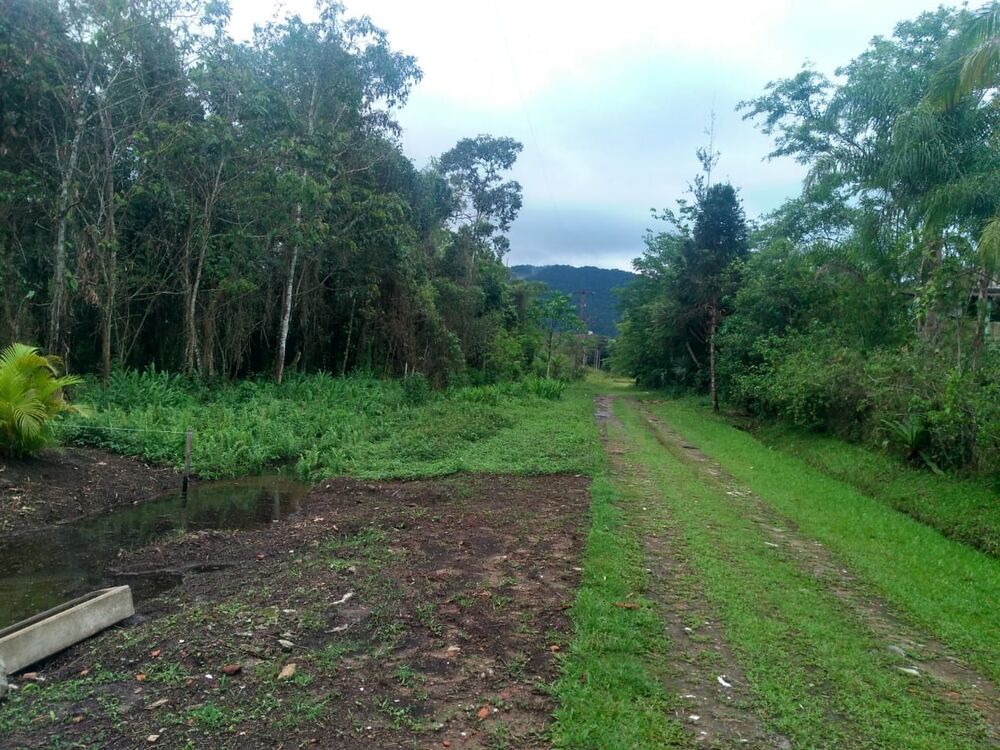 Terreno, 1000 m² - Foto 1