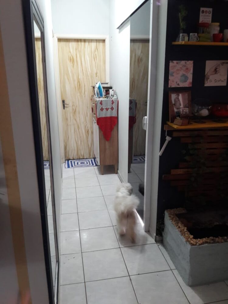 Apartamento, 2 quartos, 51 m² - Foto 4