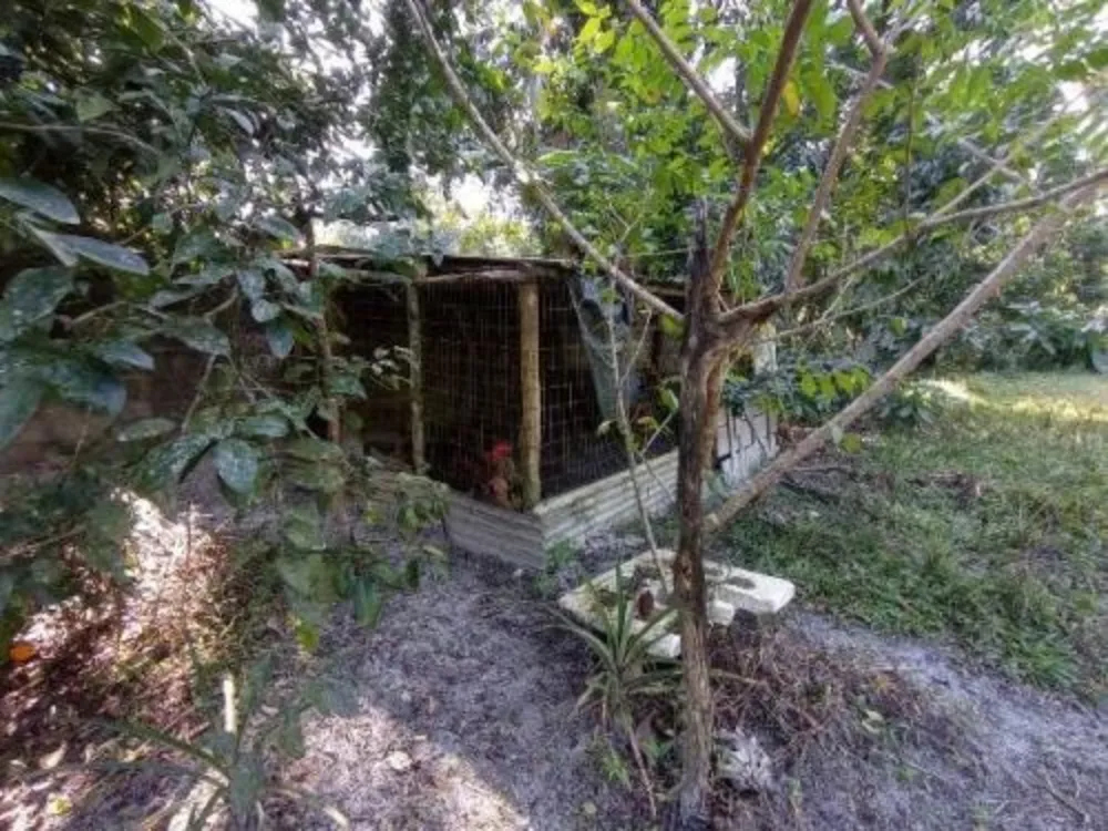 Chácara, 2 quartos - Foto 5