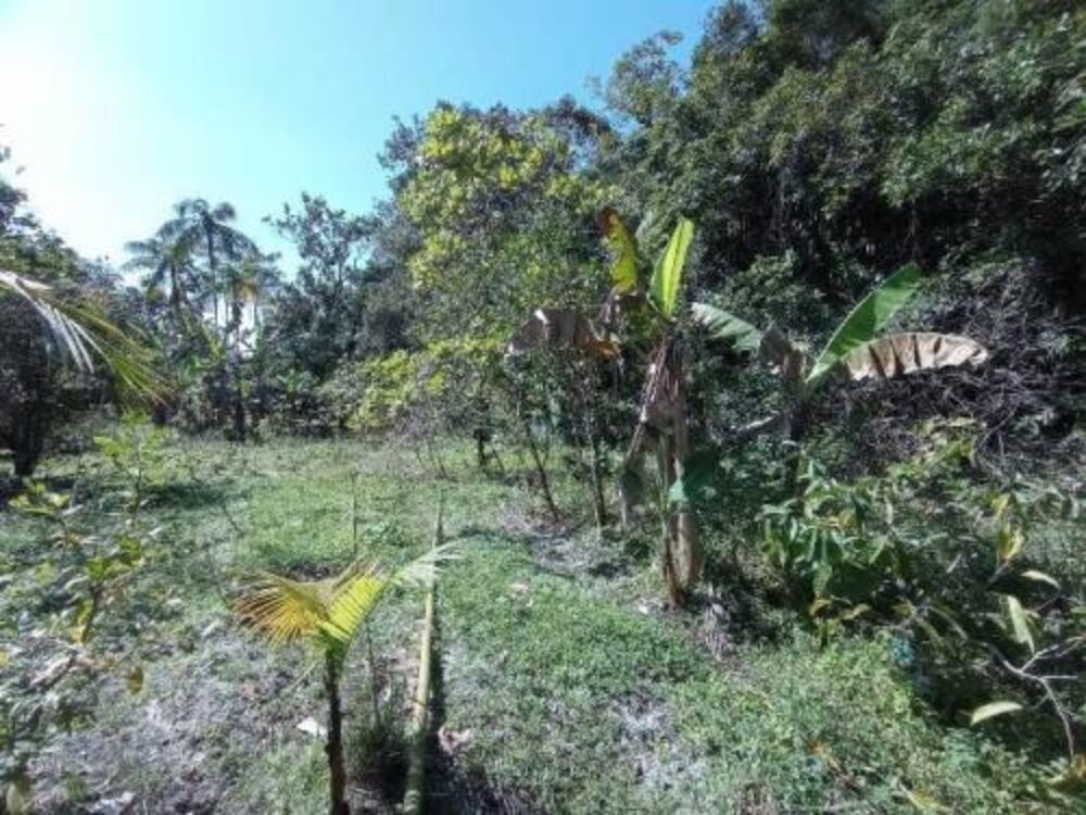 Chácara, 2 quartos - Foto 3