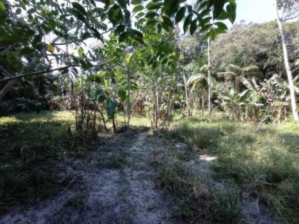 Chácara, 2 quartos - Foto 4