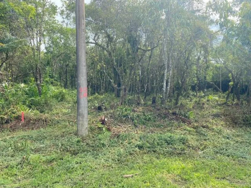 Terreno, 241 m² - Foto 3