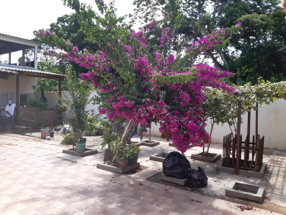 Casa, 4 quartos, 192 m² - Foto 11
