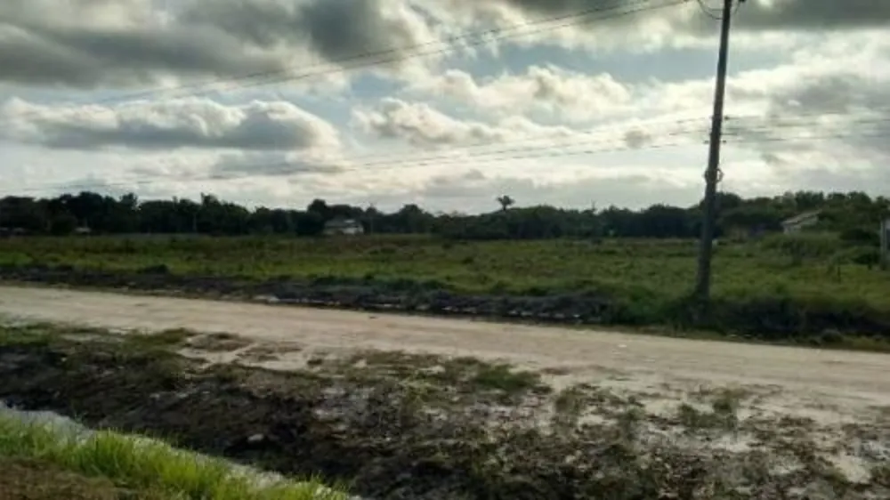 Terreno, 5400 m² - Foto 4