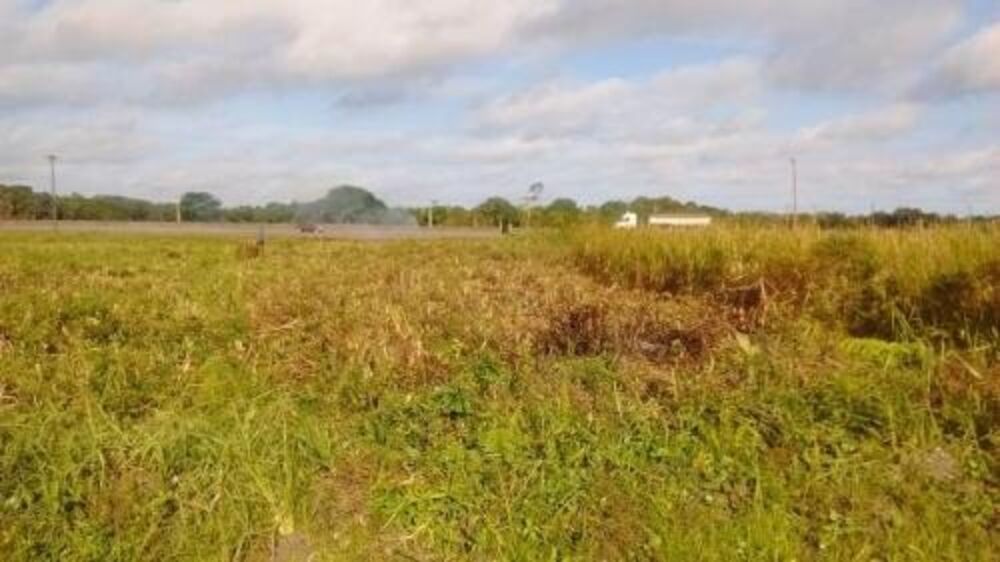 Terreno, 5400 m² - Foto 4