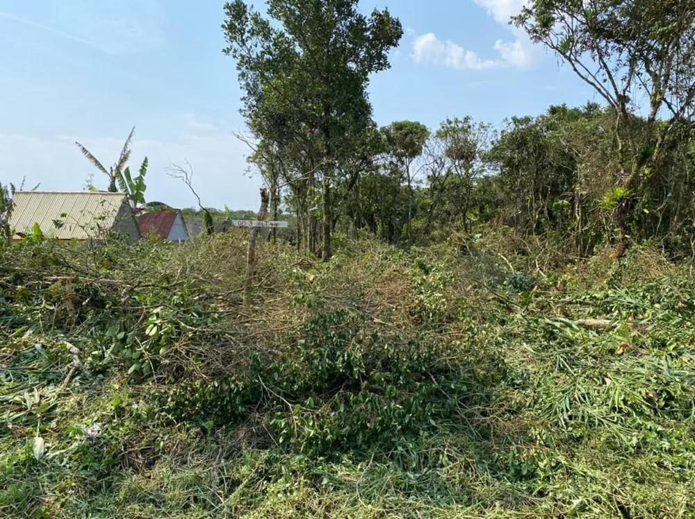 Terreno, 1800 m² - Foto 3