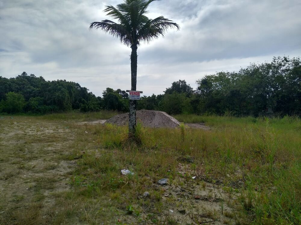 Terreno, 1250 m² - Foto 3