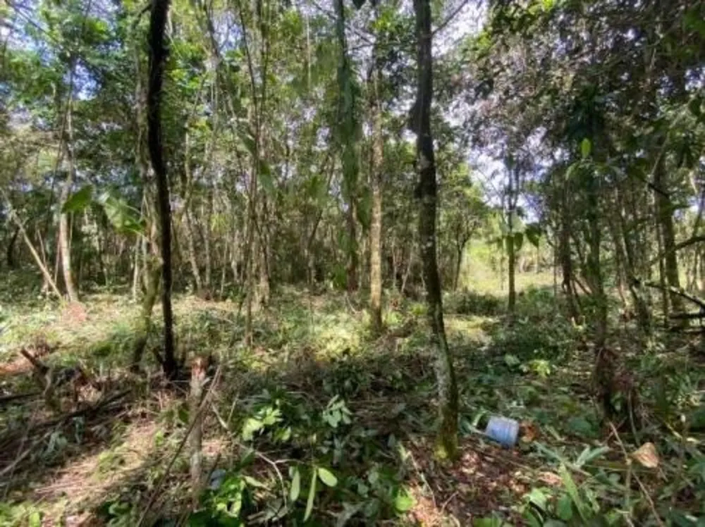 Terreno, 2537 m² - Foto 8