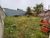 Terreno, 310 m² - Foto 1