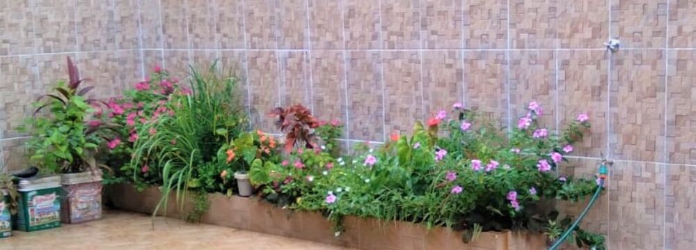 Casa, 3 quartos, 138 m² - Foto 3