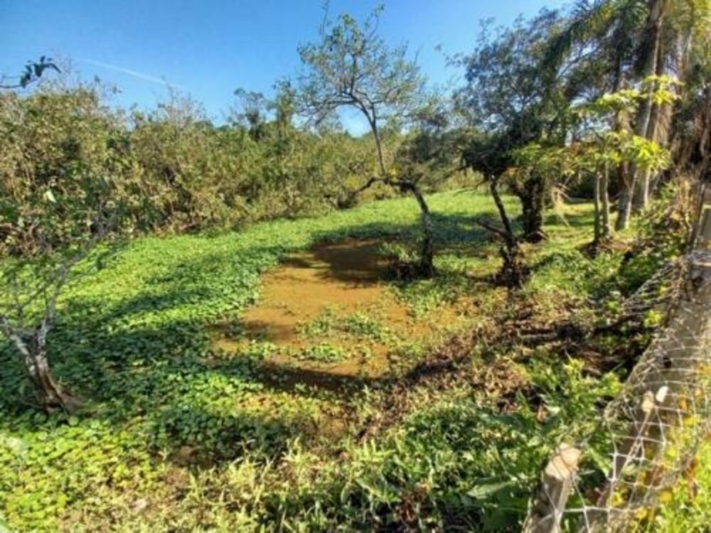 Chácara, 4 quartos - Foto 22