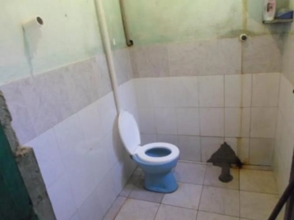 Chácara, 3 quartos, 1 hectares - Foto 2