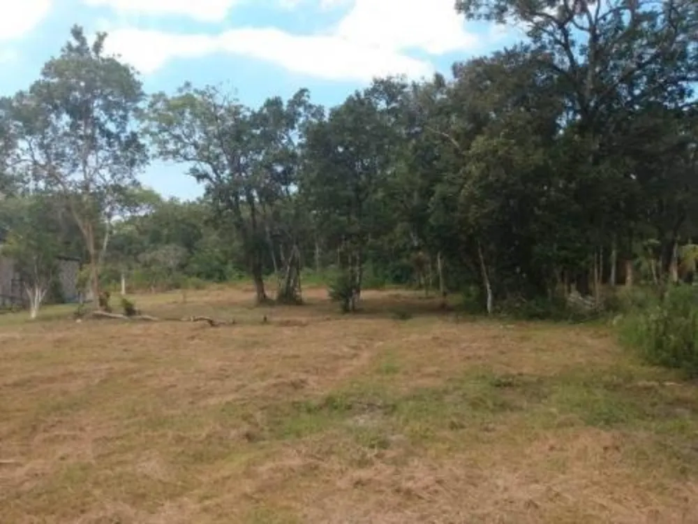 Chácara, 3 quartos, 1 hectares - Foto 3