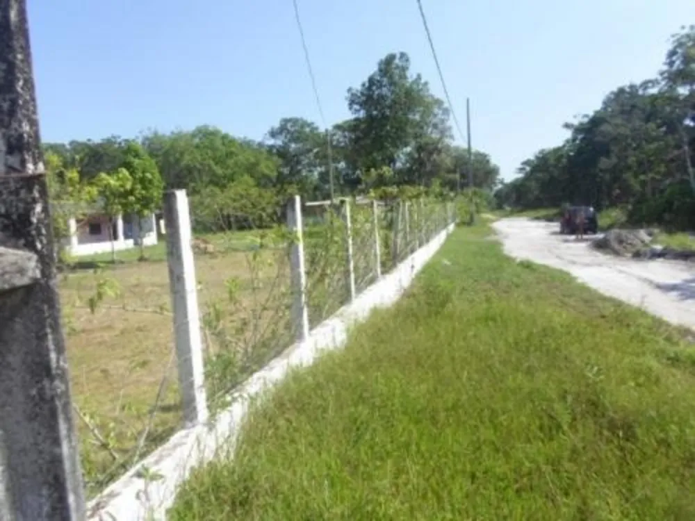 Chácara, 3 quartos, 1 hectares - Foto 12