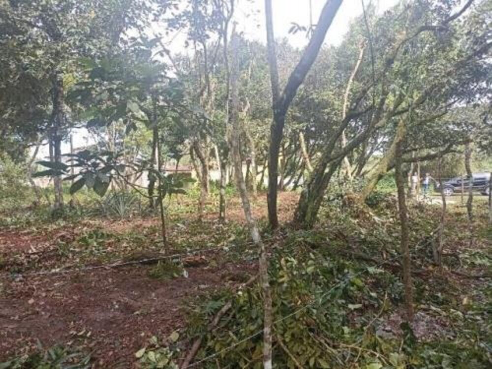 Terreno, 264 m² - Foto 1