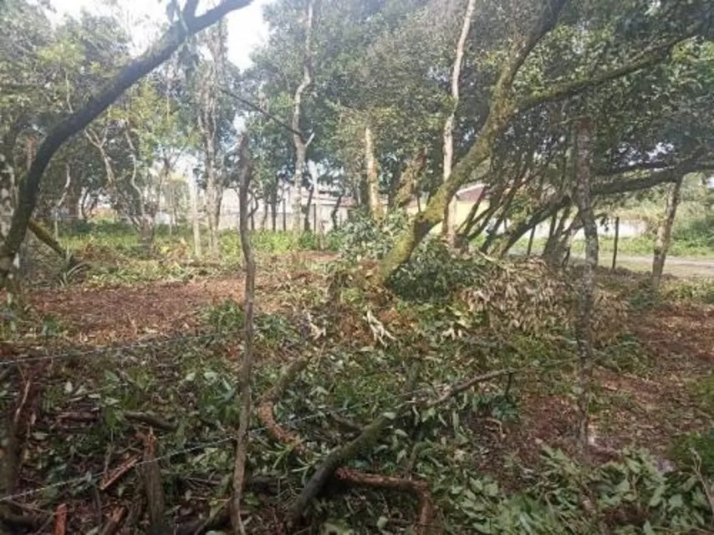 Terreno, 264 m² - Foto 6