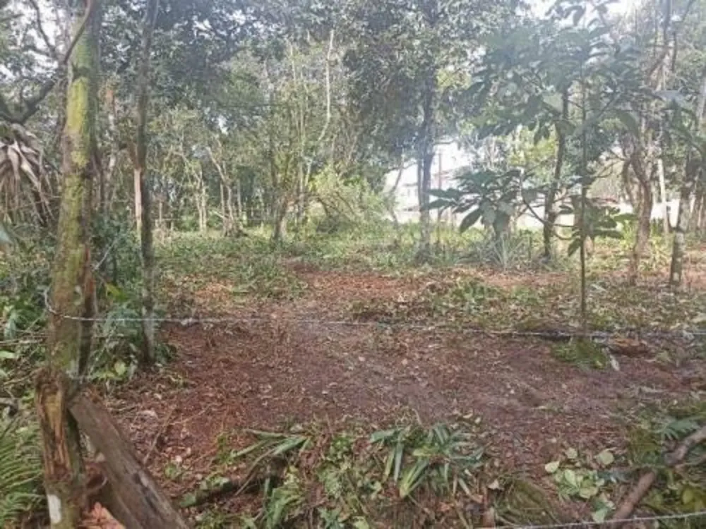 Terreno, 264 m² - Foto 1