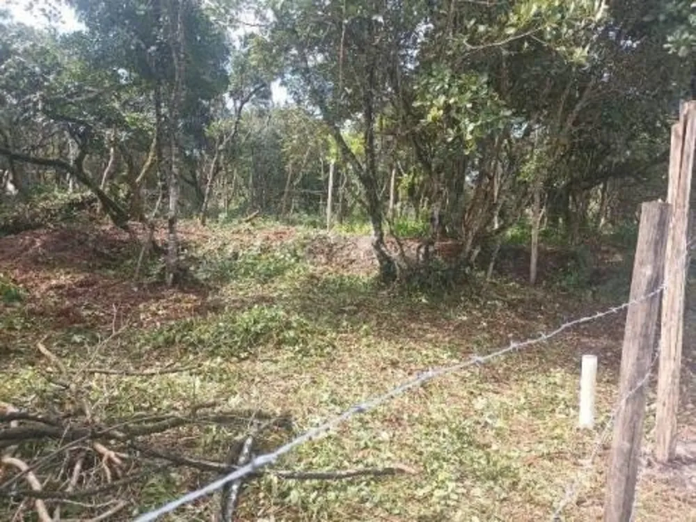 Terreno, 264 m² - Foto 8