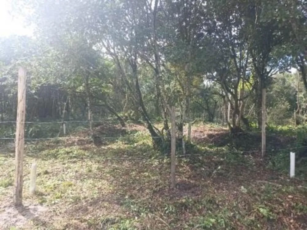 Terreno, 264 m² - Foto 7