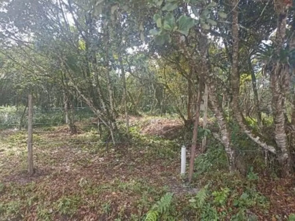 Terreno, 264 m² - Foto 5