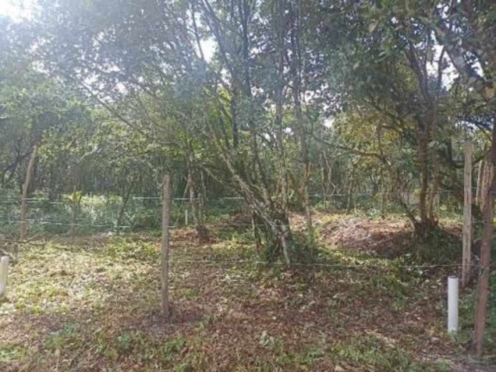 Terreno, 264 m² - Foto 4
