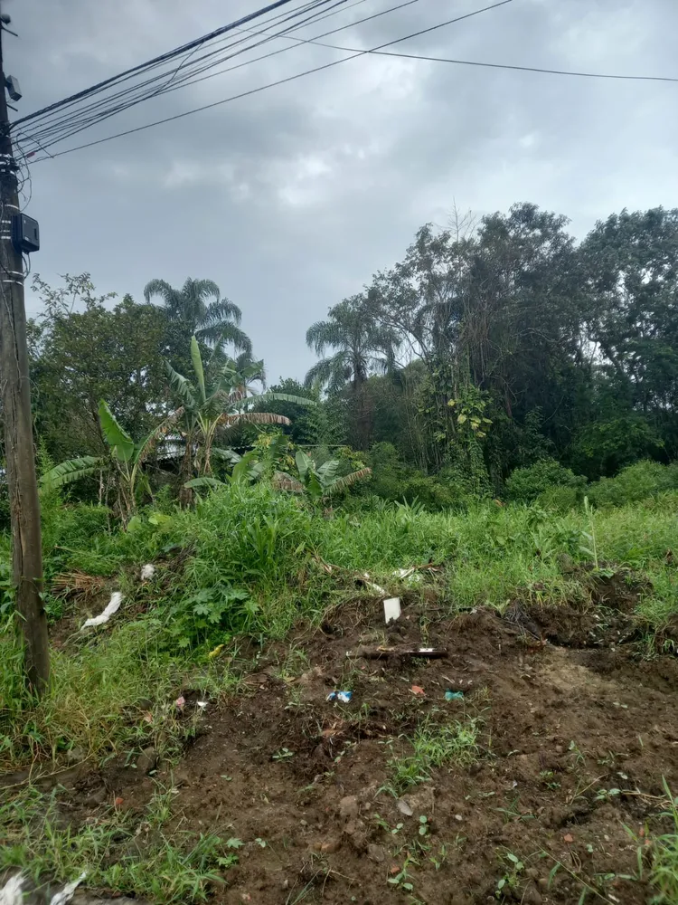 Terreno, 1000 m² - Foto 3