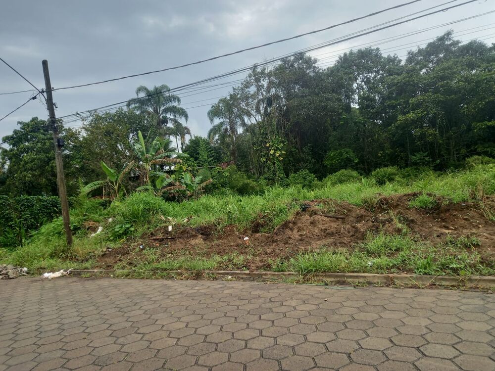 Terreno, 1000 m² - Foto 3