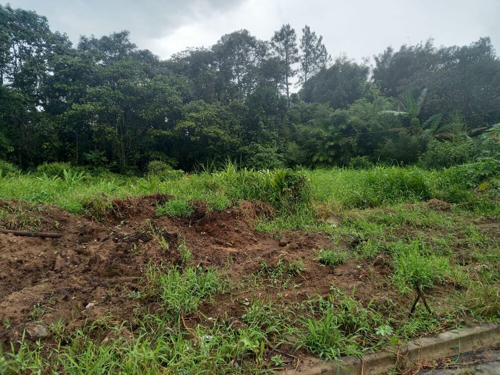 Terreno, 1000 m² - Foto 4