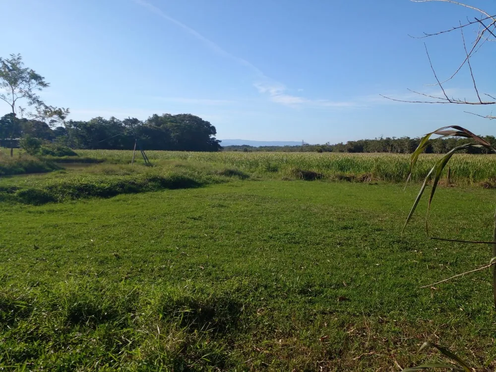 Terreno, 9600 m² - Foto 4