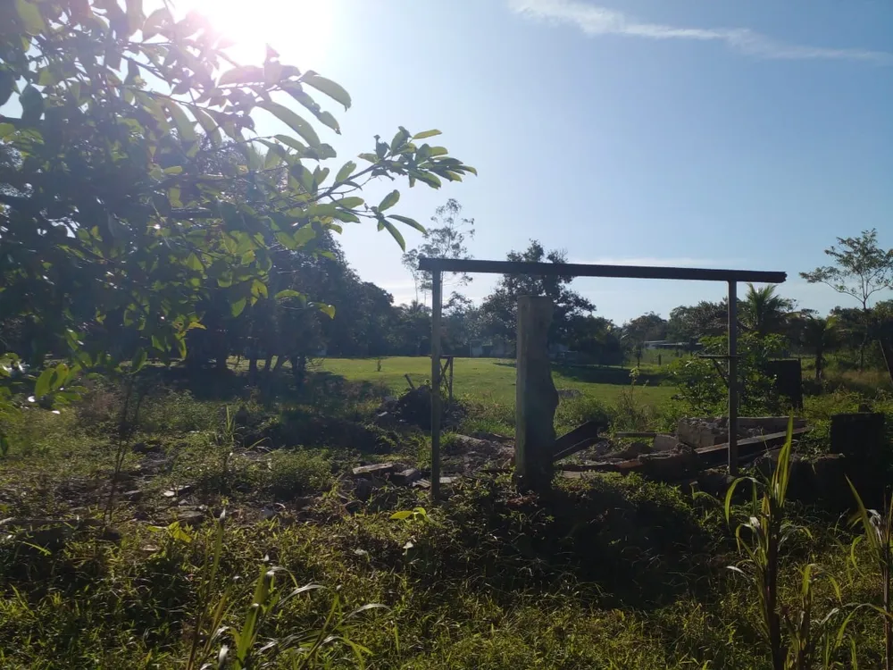 Terreno, 9600 m² - Foto 5
