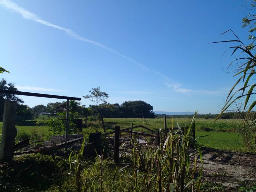 Terreno, 9600 m² - Foto 3