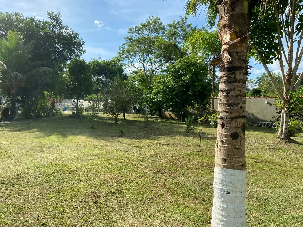 Chácara, 2 quartos, 3172 m² - Foto 5