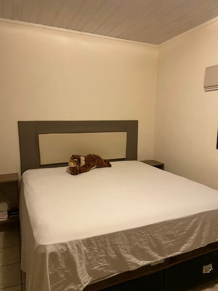 Chácara, 2 quartos, 3172 m² - Foto 3