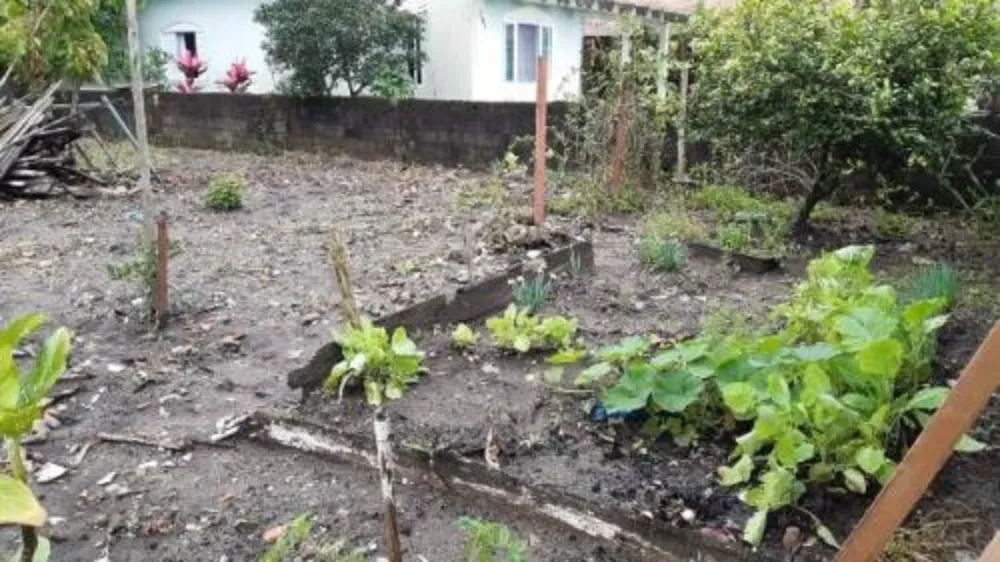 Terreno, 260 m² - Foto 3