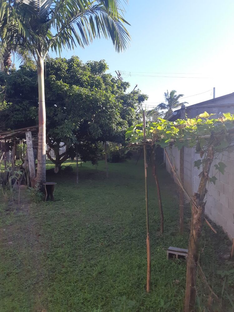 Casa, 5 quartos - Foto 3