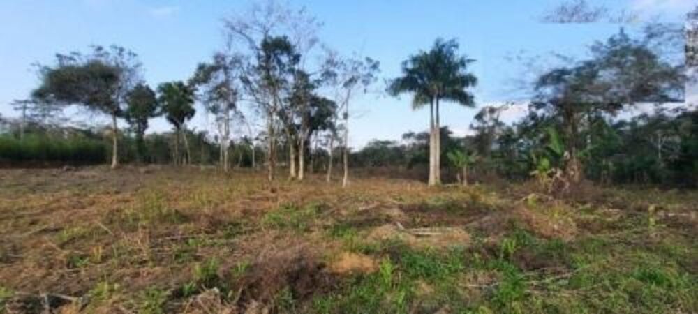 Terreno - Foto 1