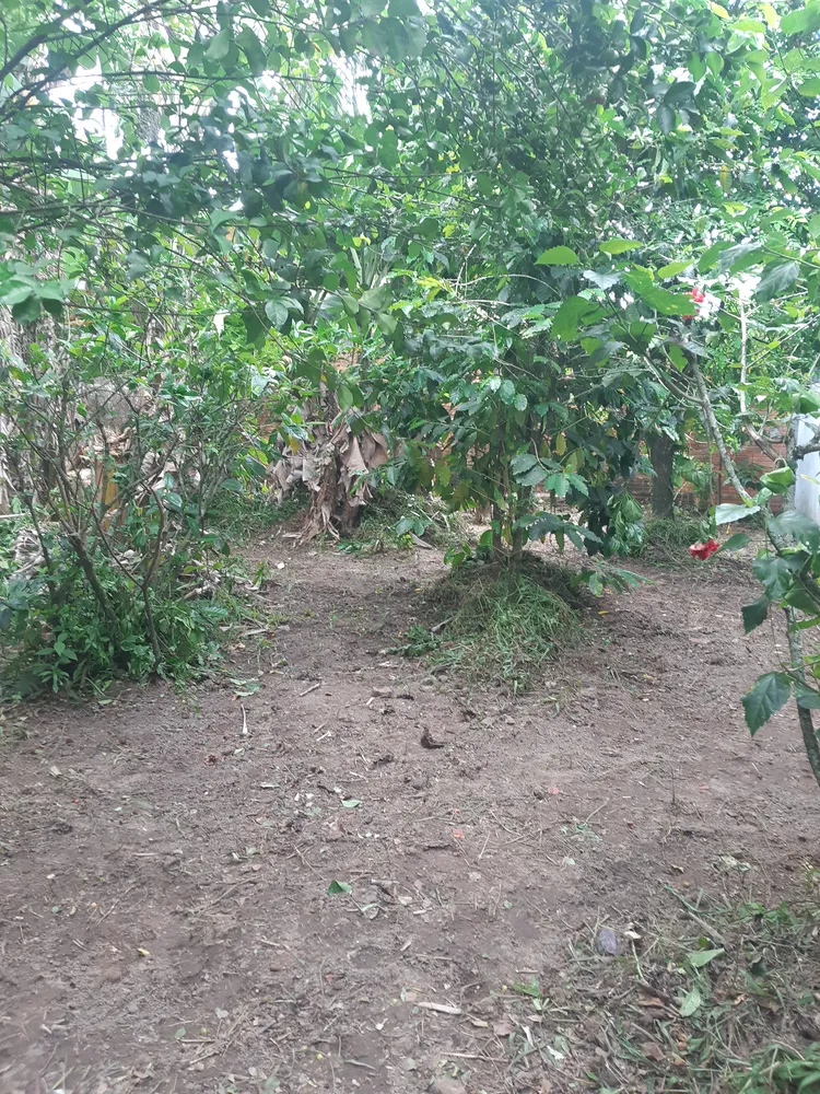 Terreno, 250 m² - Foto 10