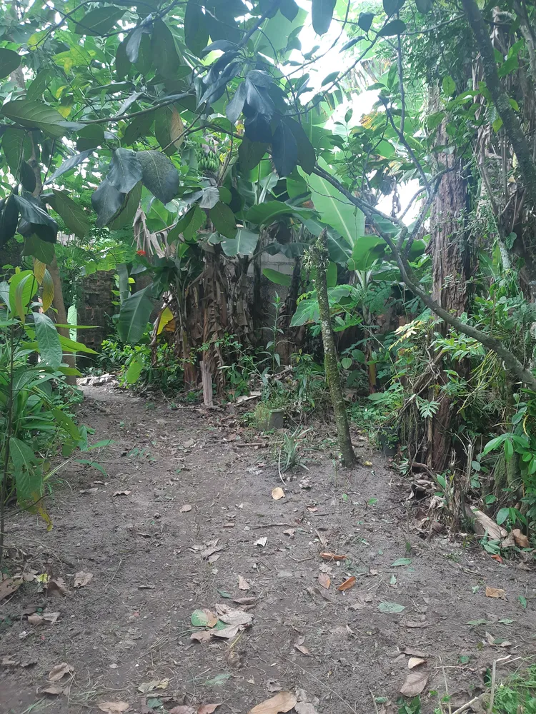 Terreno, 250 m² - Foto 2