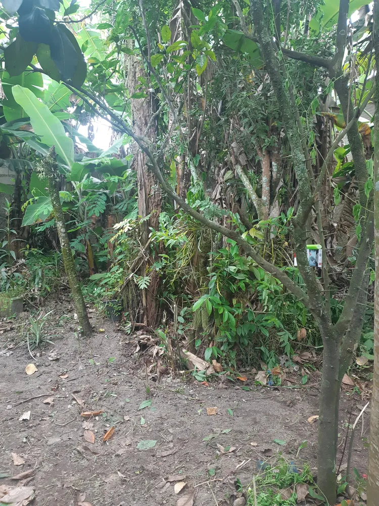 Terreno, 250 m² - Foto 8