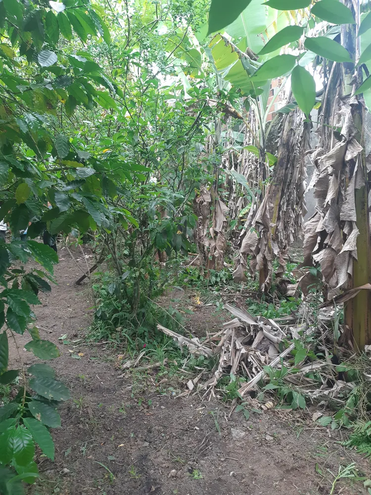Terreno, 250 m² - Foto 12